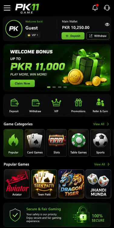 PK11 Game APK